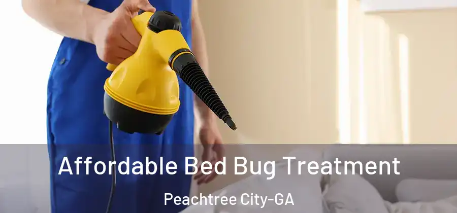 Affordable Bed Bug Treatment Peachtree City-GA