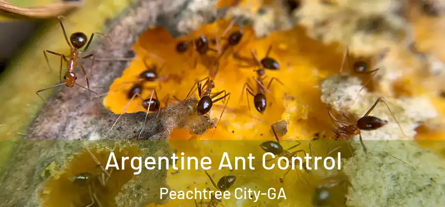 Argentine Ant Control Peachtree City-GA