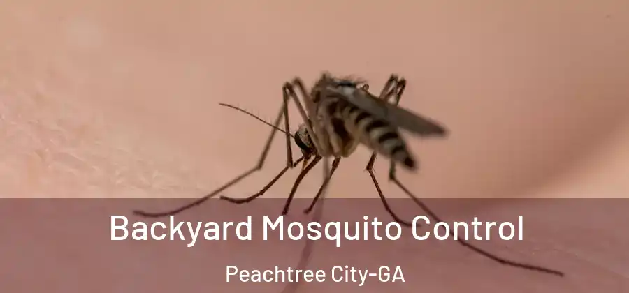  Backyard Mosquito Control Peachtree City-GA