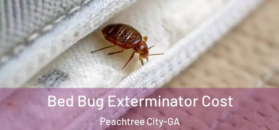 Bed Bug Exterminator Cost Peachtree City-GA