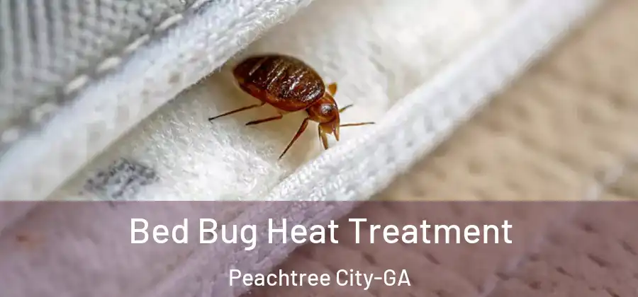  Bed Bug Heat Treatment Peachtree City-GA