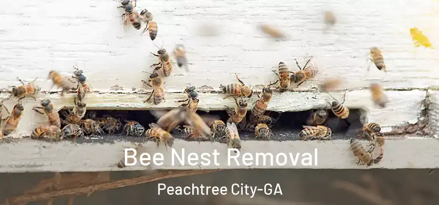  Bee Nest Removal Peachtree City-GA