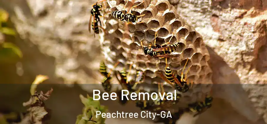 Bee Removal Peachtree City-GA