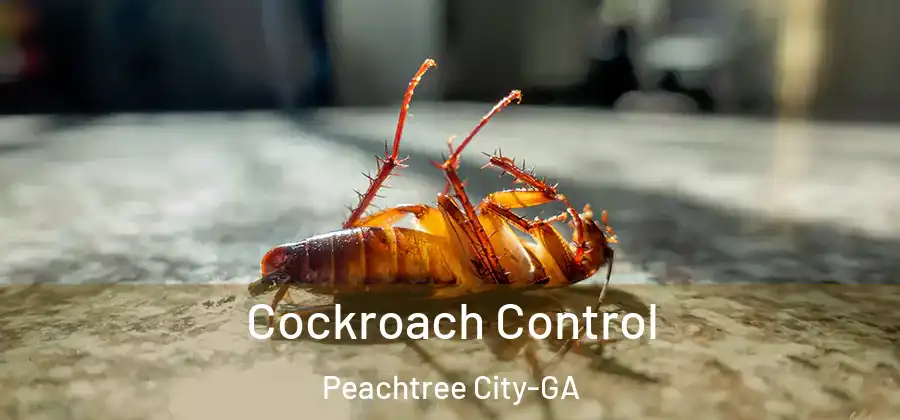 Cockroach Control Peachtree City-GA