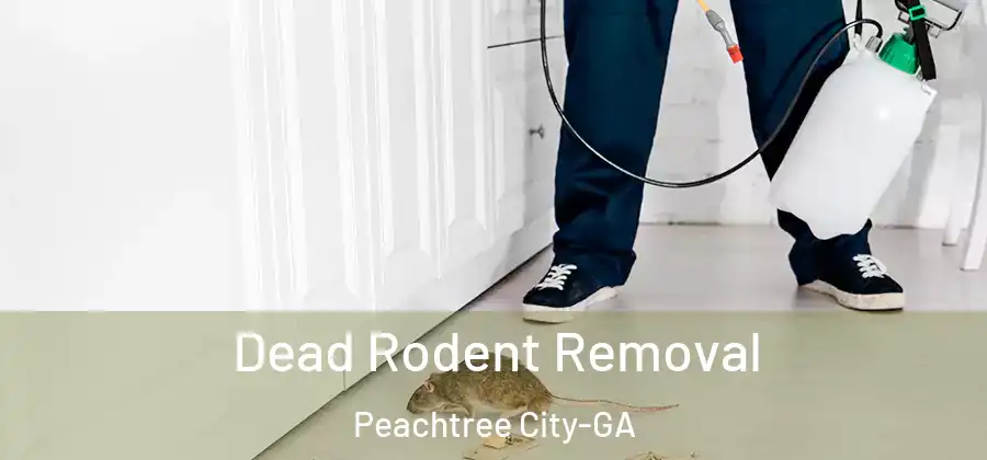 Dead Rodent Removal Peachtree City-GA