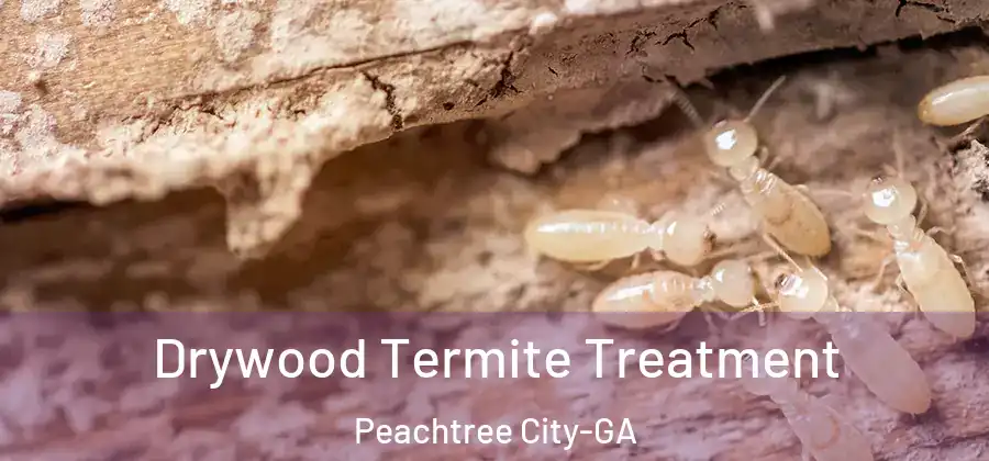  Drywood Termite Treatment Peachtree City-GA