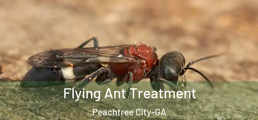 Flying Ant Treatment Peachtree City-GA