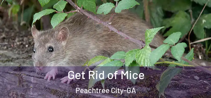 Get Rid of Mice Peachtree City-GA