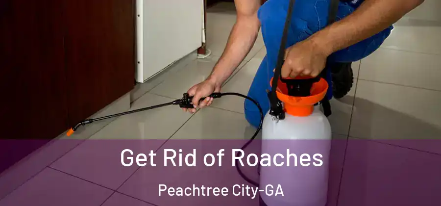 Get Rid of Roaches Peachtree City-GA