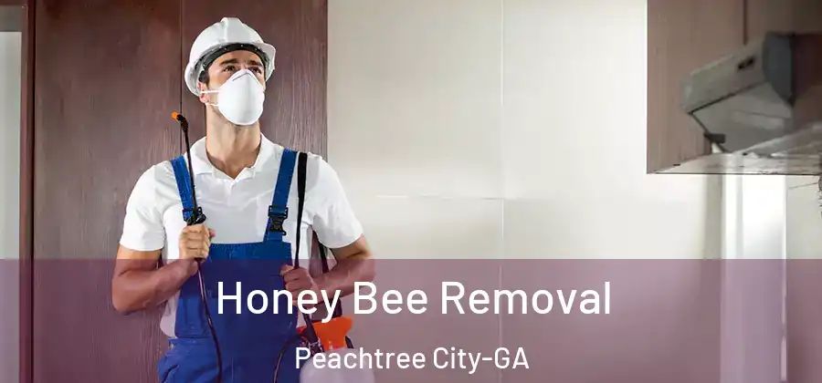  Honey Bee Removal Peachtree City-GA