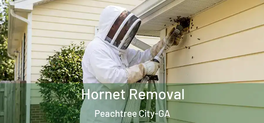  Hornet Removal Peachtree City-GA