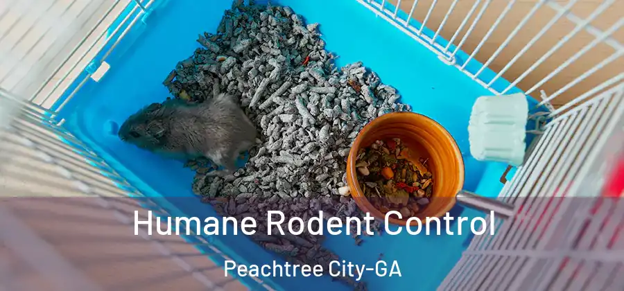 Humane Rodent Control Peachtree City-GA