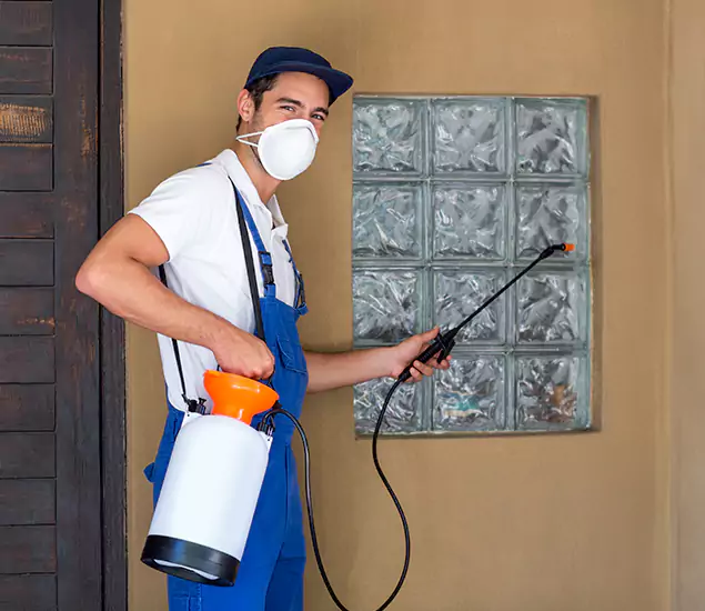 Your Reliable Pest Control in Peachtree City, GA