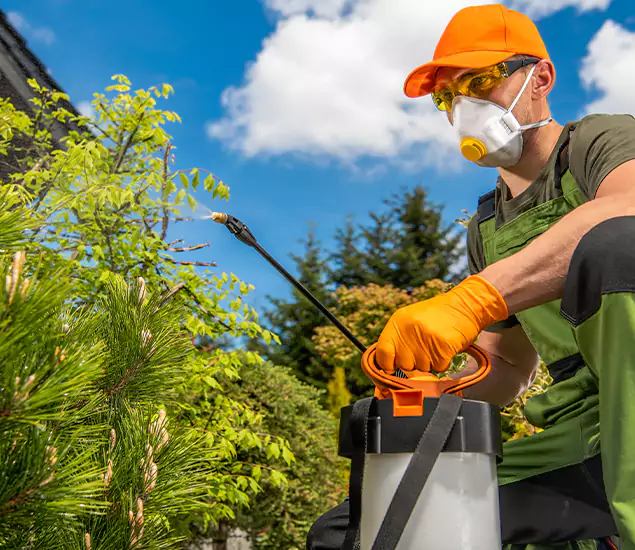 Your Mosquito Repellent Barrier Service in Peachtree City, GA