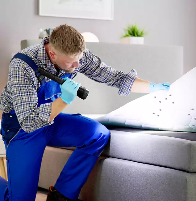 Why Choose Peachtree City Pest Control Pro For Bed Bug Heat Treatment in Peachtree City, GA?