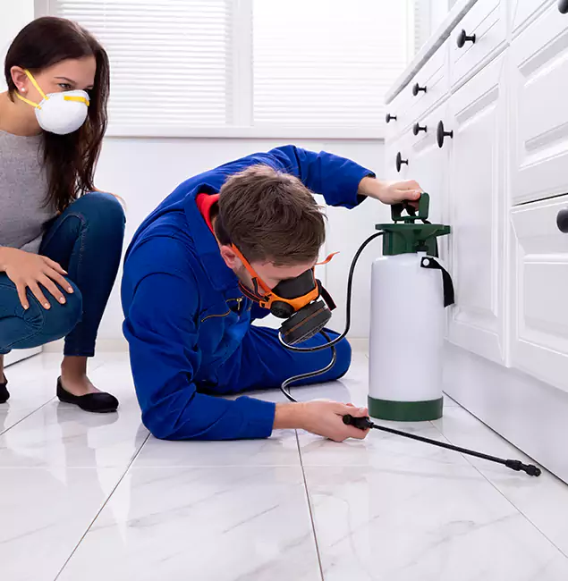 Why Peachtree City, GA Homeowners Trust Peachtree City Pest Control Pro for Roach Control?