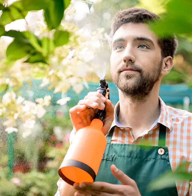 Why Peachtree City Homeowners Call Peachtree City Pest Control Pro for Mosquitoes in House?