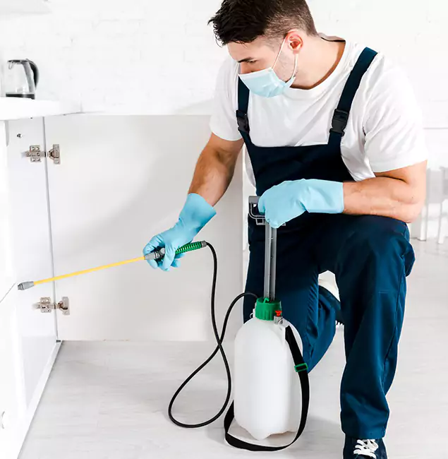 Why Choose Peachtree City Pest Control Pro for Termite Spot Treatment in Peachtree City, GA?