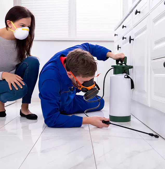 Why Choose Wood Termite Treatment by Peachtree City Pest Control Pro in Peachtree City, GA?