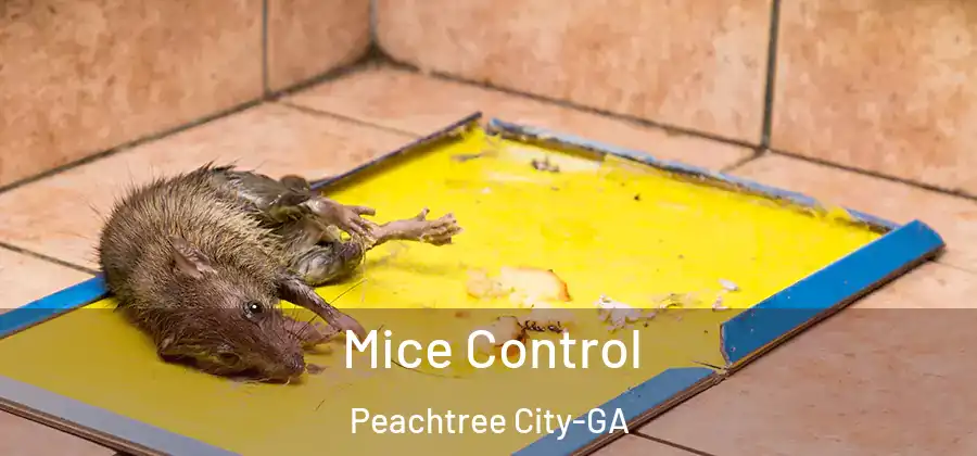 Mice Control Peachtree City-GA