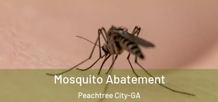 Mosquito Abatement Peachtree City-GA