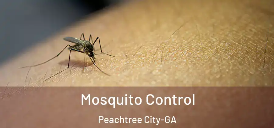Mosquito Control Peachtree City-GA