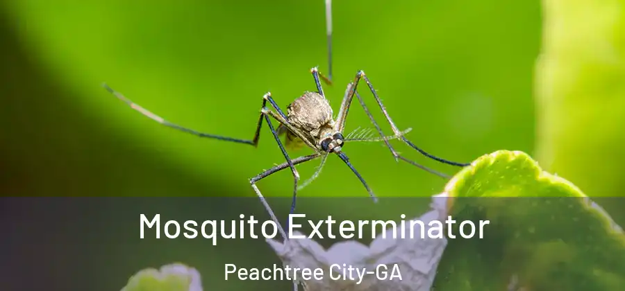 Mosquito Exterminator Peachtree City-GA