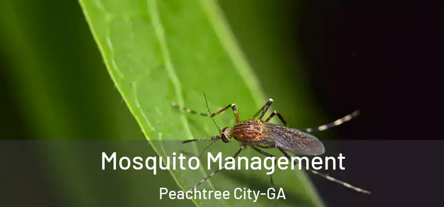  Mosquito Management Peachtree City-GA
