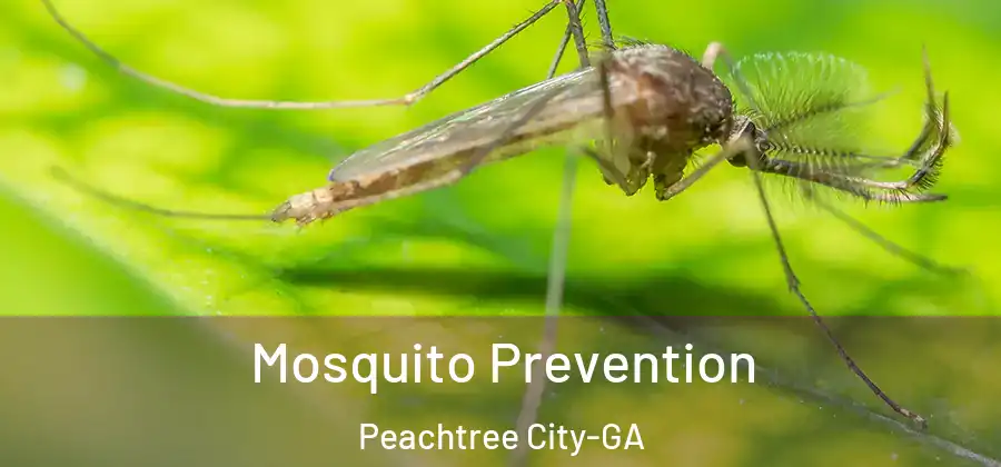  Mosquito Prevention Peachtree City-GA