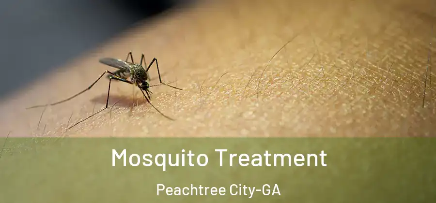 Mosquito Treatment Peachtree City-GA