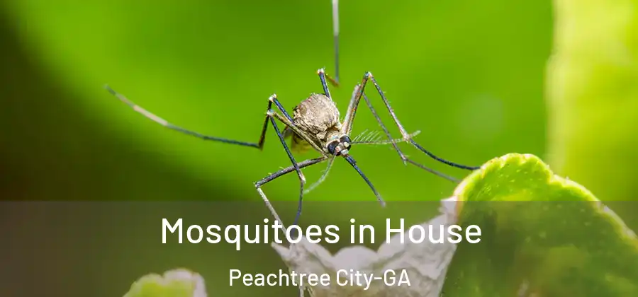  Mosquitoes in House Peachtree City-GA
