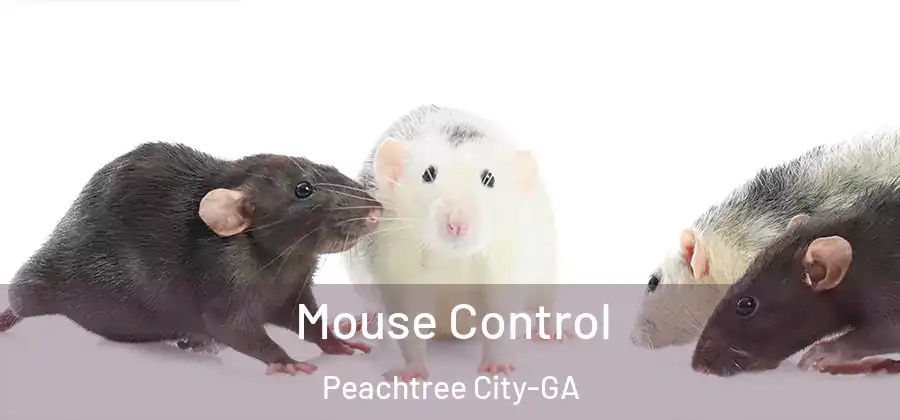 Mouse Control Peachtree City-GA