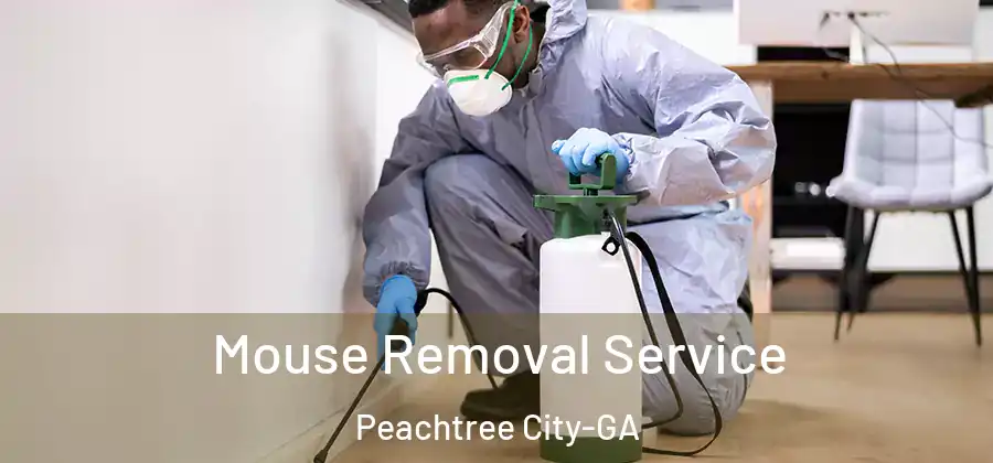  Mouse Removal Service Peachtree City-GA