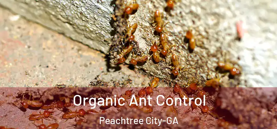 Organic Ant Control Peachtree City-GA