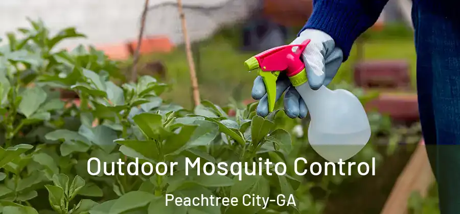 Outdoor Mosquito Control Peachtree City-GA