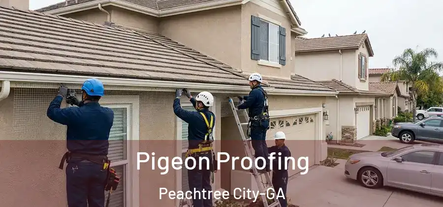 Pigeon Proofing Peachtree City-GA