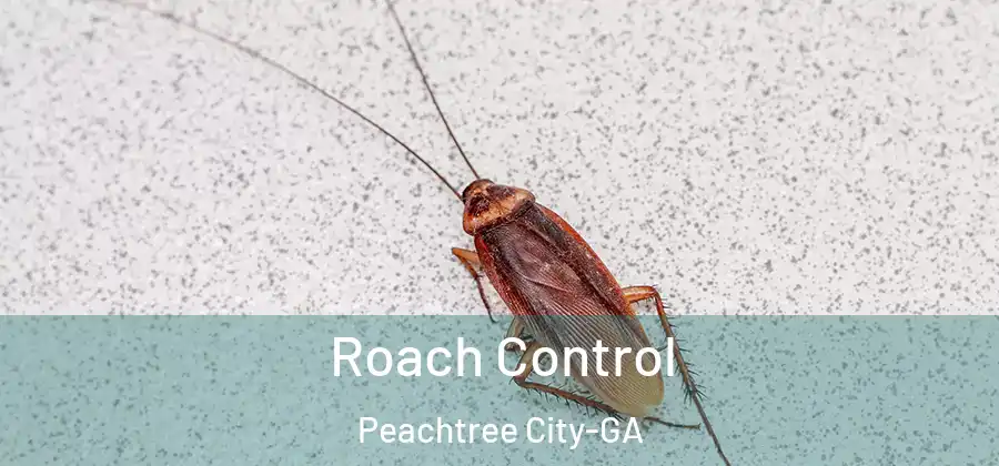 Roach Control Peachtree City-GA