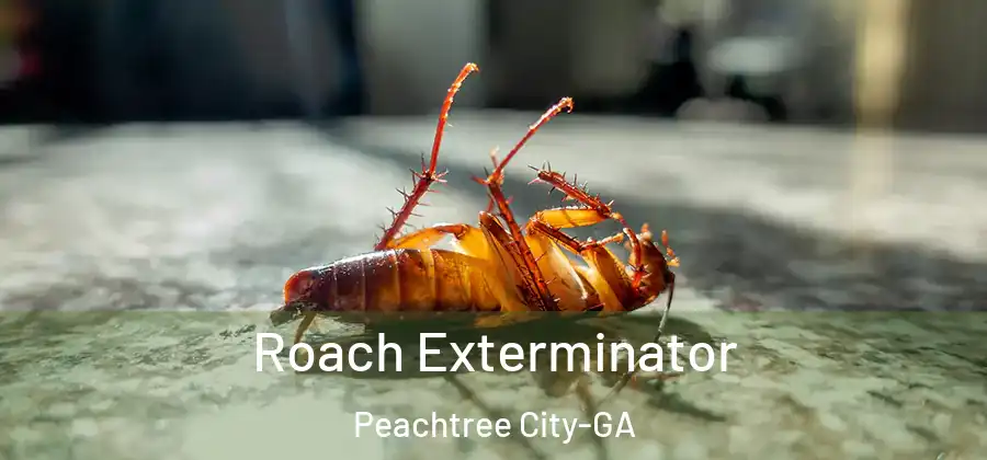 Roach Exterminator Peachtree City-GA