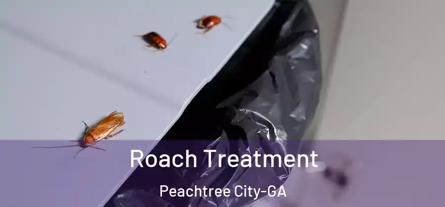 Roach Treatment Peachtree City-GA