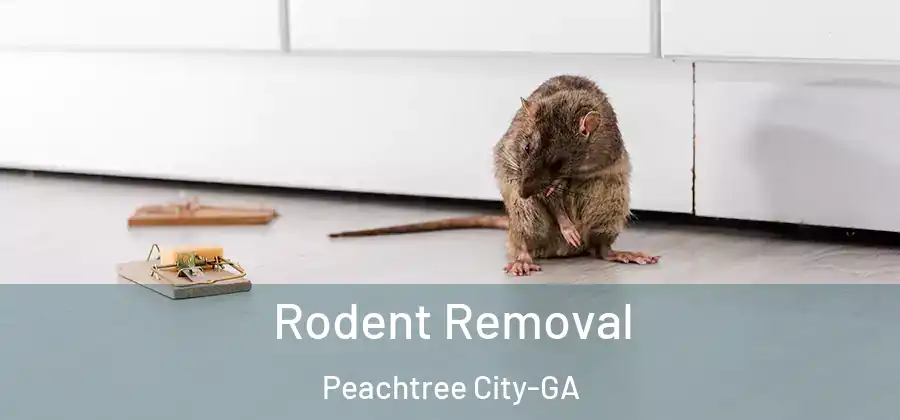  Rodent Removal Peachtree City-GA