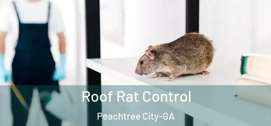 Roof Rat Control Peachtree City-GA