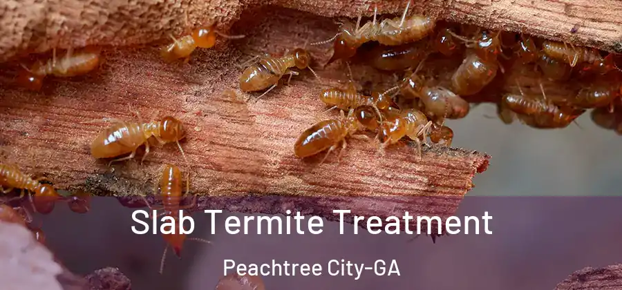  Slab Termite Treatment Peachtree City-GA