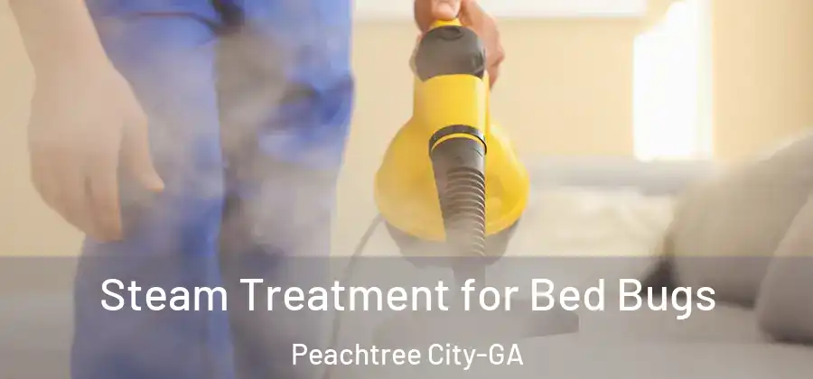 Steam Treatment for Bed Bugs Peachtree City-GA