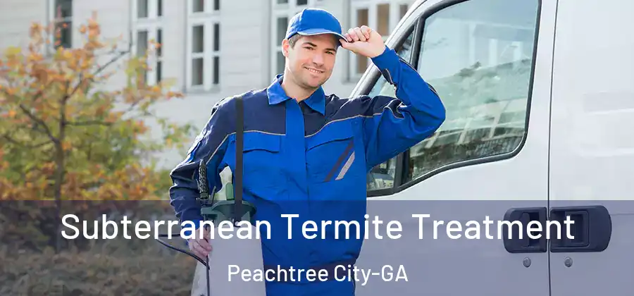  Subterranean Termite Treatment Peachtree City-GA