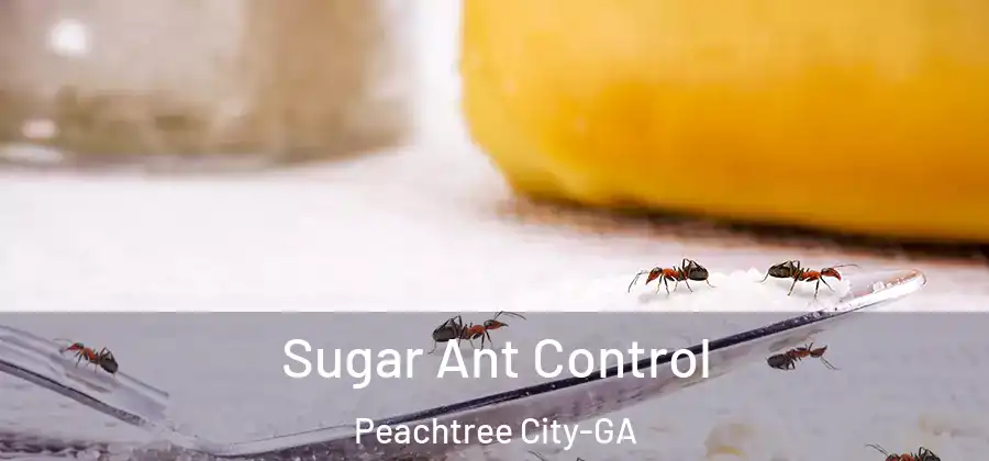 Sugar Ant Control Peachtree City-GA