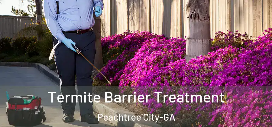 Termite Barrier Treatment Peachtree City-GA