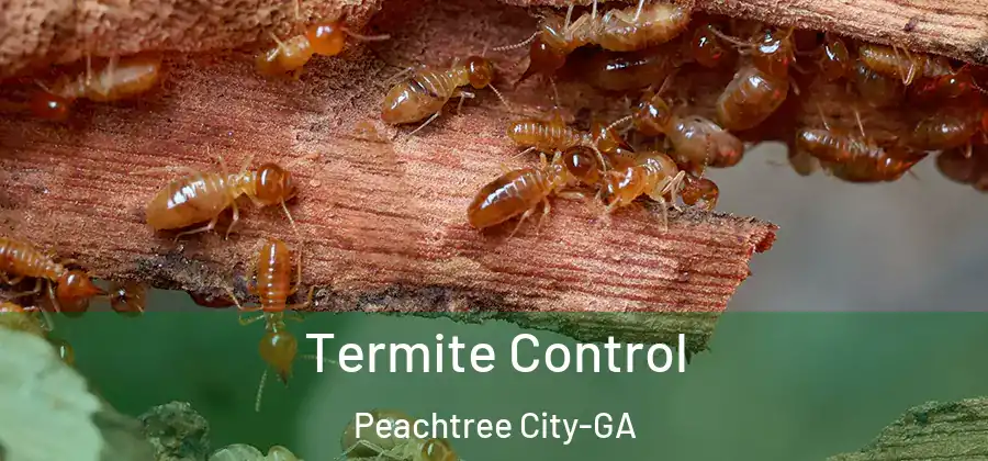 Termite Control Peachtree City-GA
