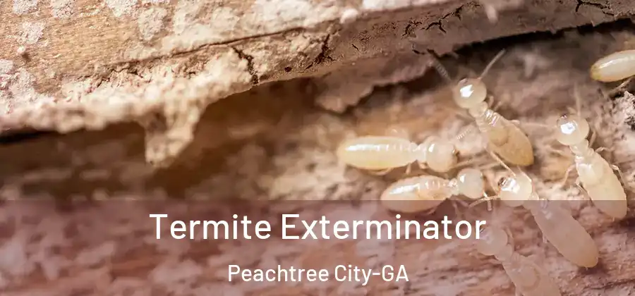 Termite Exterminator Peachtree City-GA