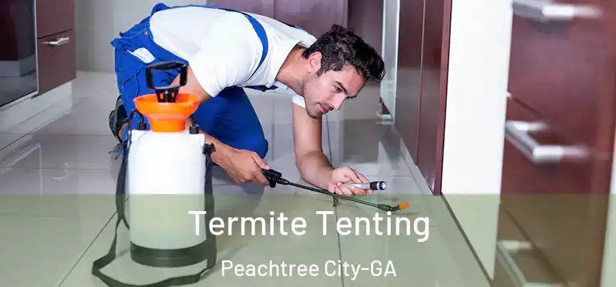  Termite Tenting Peachtree City-GA