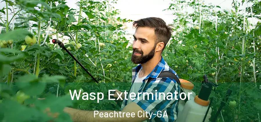Wasp Exterminator Peachtree City-GA